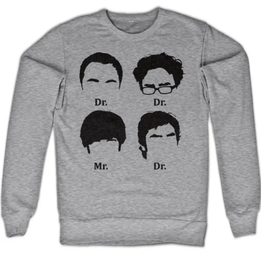 Big Bang Theory Prefix Heads Sweatshirt