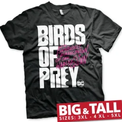 Birds Of Prey Logo Big & Tall Tee