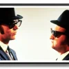 Brothers In Shades Poster