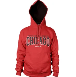 Chicago - Illinois Hoodie