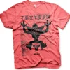 Chinese Gremlins Poster T-Shirt