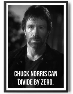 Chuck Norris Can Divide By Zero Poster