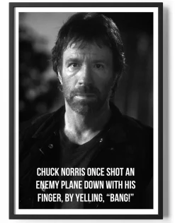 Chuck Norris Shot A Plane With His Finger Poster