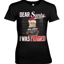 Dear Santa - I Was Framed Girly Tee