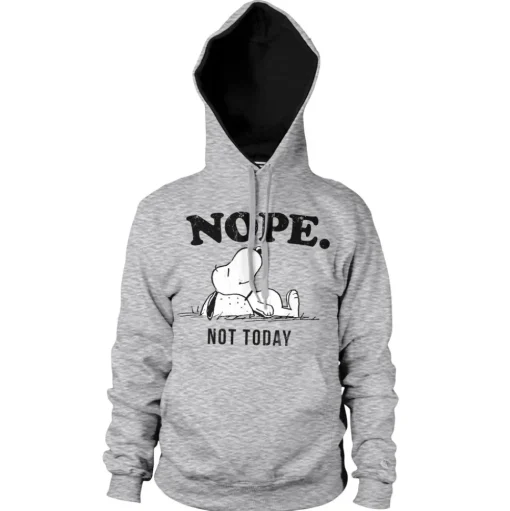 Nope. Not Today Hoodie
