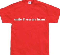 Smile If You Are Horny T-Shirt