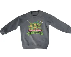 Teeange Mutant Ninja Turtles Distressed Group Kids Sweatshirt