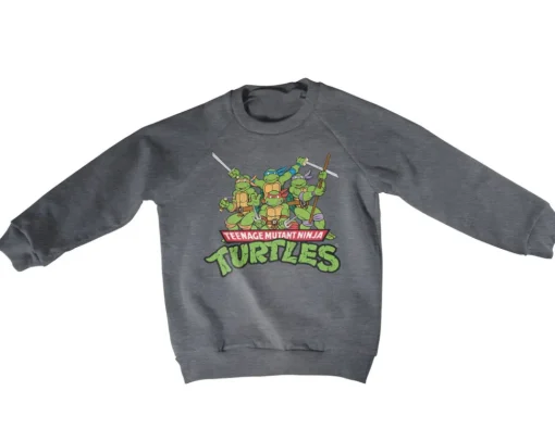 Teeange Mutant Ninja Turtles Distressed Group Kids Sweatshirt