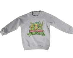 Teeange Mutant Ninja Turtles Distressed Group Kids Sweatshirt