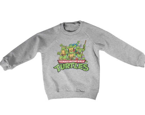 Teeange Mutant Ninja Turtles Distressed Group Kids Sweatshirt