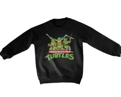 Teeange Mutant Ninja Turtles Distressed Group Kids Sweatshirt