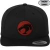 Thundercats Logo Premium Snapback Cap