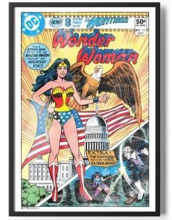 Wonder Woman White House Cover Poster