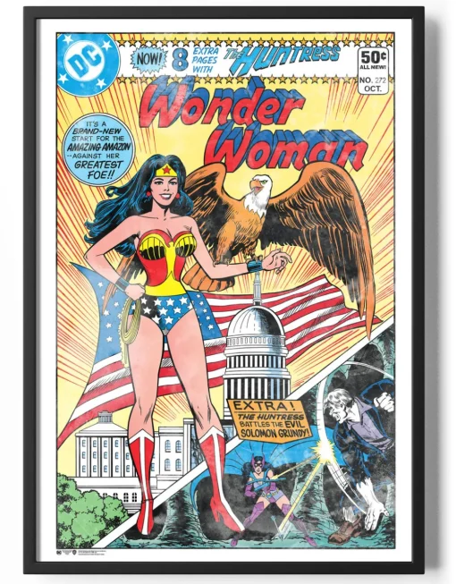 Wonder Woman White House Cover Poster